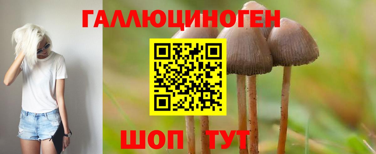 Псилоцибиновые грибы Magic Shrooms Кузнецк